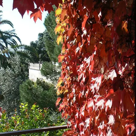 Bed and Breakfast La Cittadella Citta Universitaria Policlinico 4*
